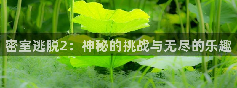 辉达娱乐注册开户：密室逃脱2：神秘的挑战与无尽的乐趣