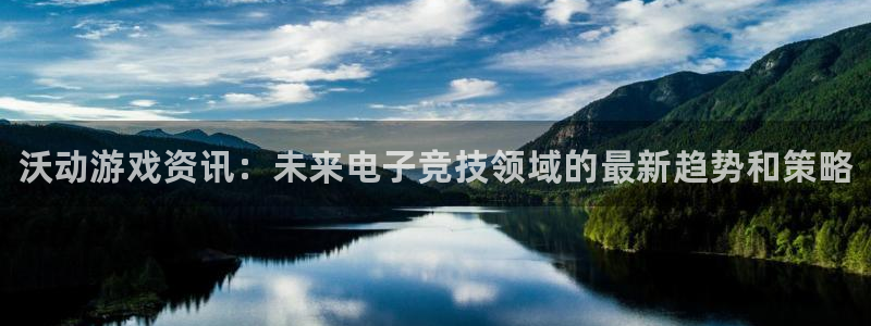 辉达娱乐平台注册资金多少：沃动游戏资讯：未来电子竞技领域的最
