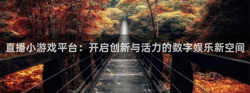 辉达娱乐咨询：直播小游戏平台：开启创新与活力的数字娱乐新空间