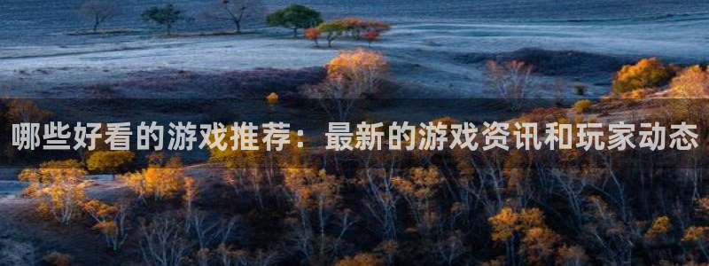 辉达娱乐注册登录：哪些好看的游戏推荐：最新的游戏资讯和玩家动