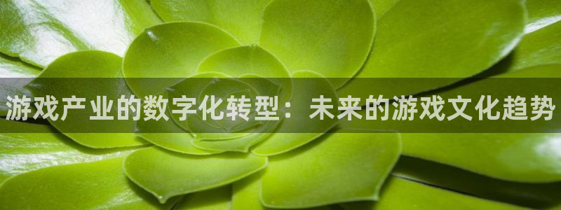 辉达娱乐娱乐