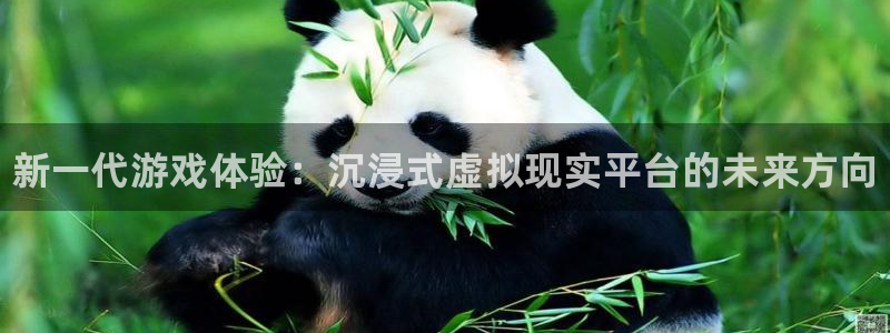 辉达娱乐游戏：新一代游戏体验：沉浸式虚拟现实平台的未来方向