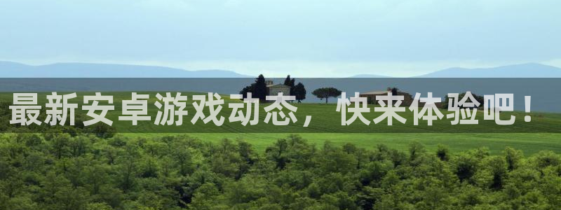 辉达娱乐世纪网络